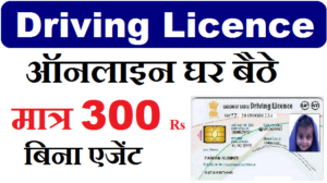 Driving Licence