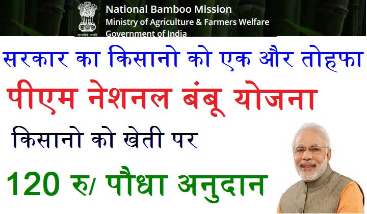 pm national bamboo mission