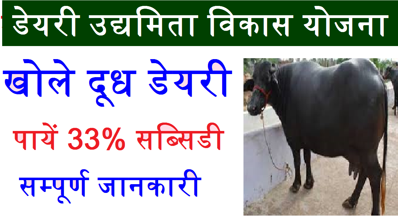 dudh dairy kaise khole