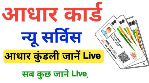 Aadhar History Download