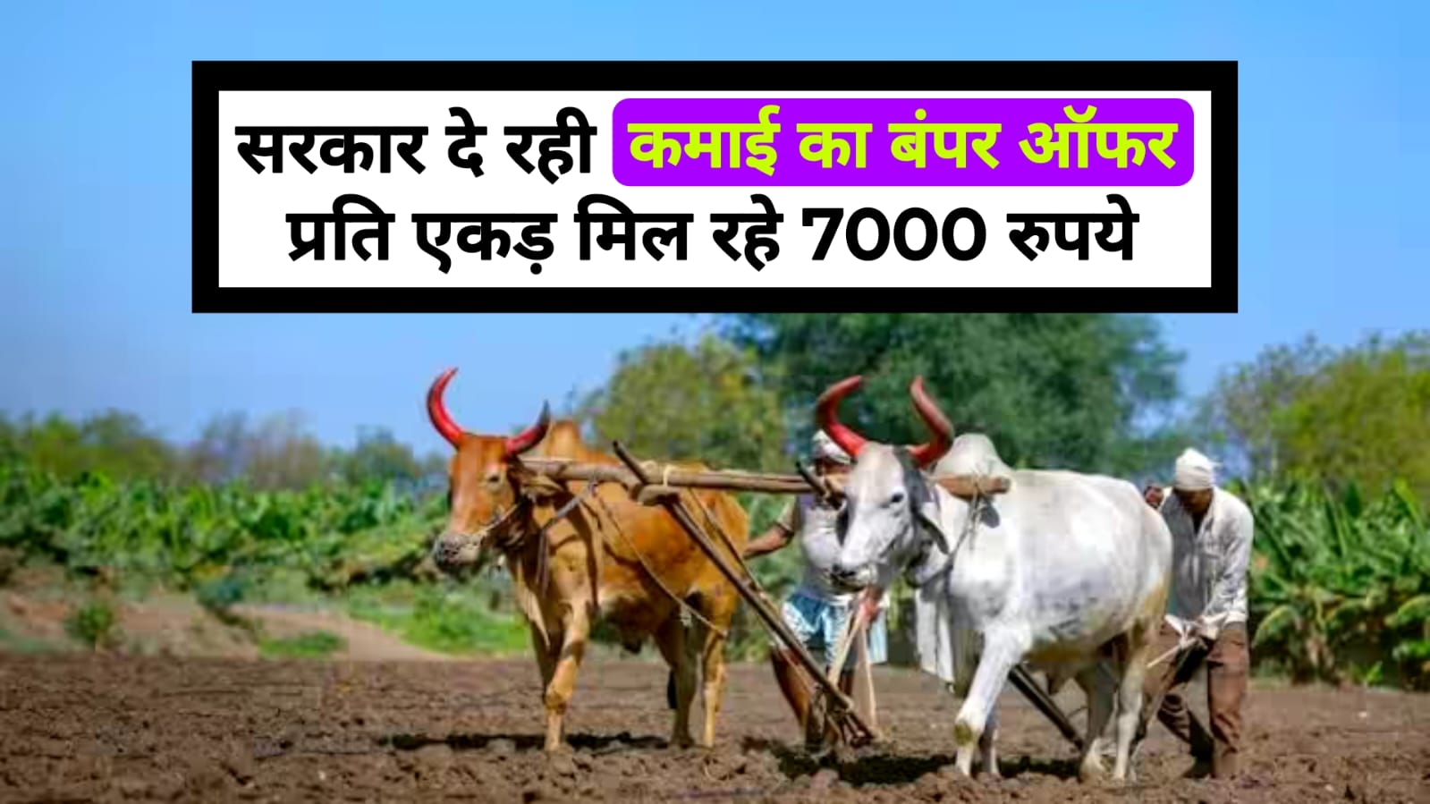 Mera Pani Meri virasat yojna