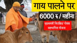 Mukhyamantri NirashritGovansh Sahbhagita Yojana