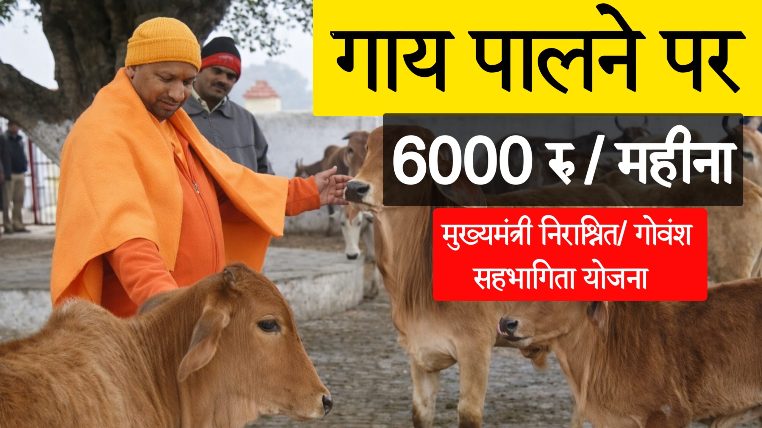 Mukhyamantri NirashritGovansh Sahbhagita Yojana